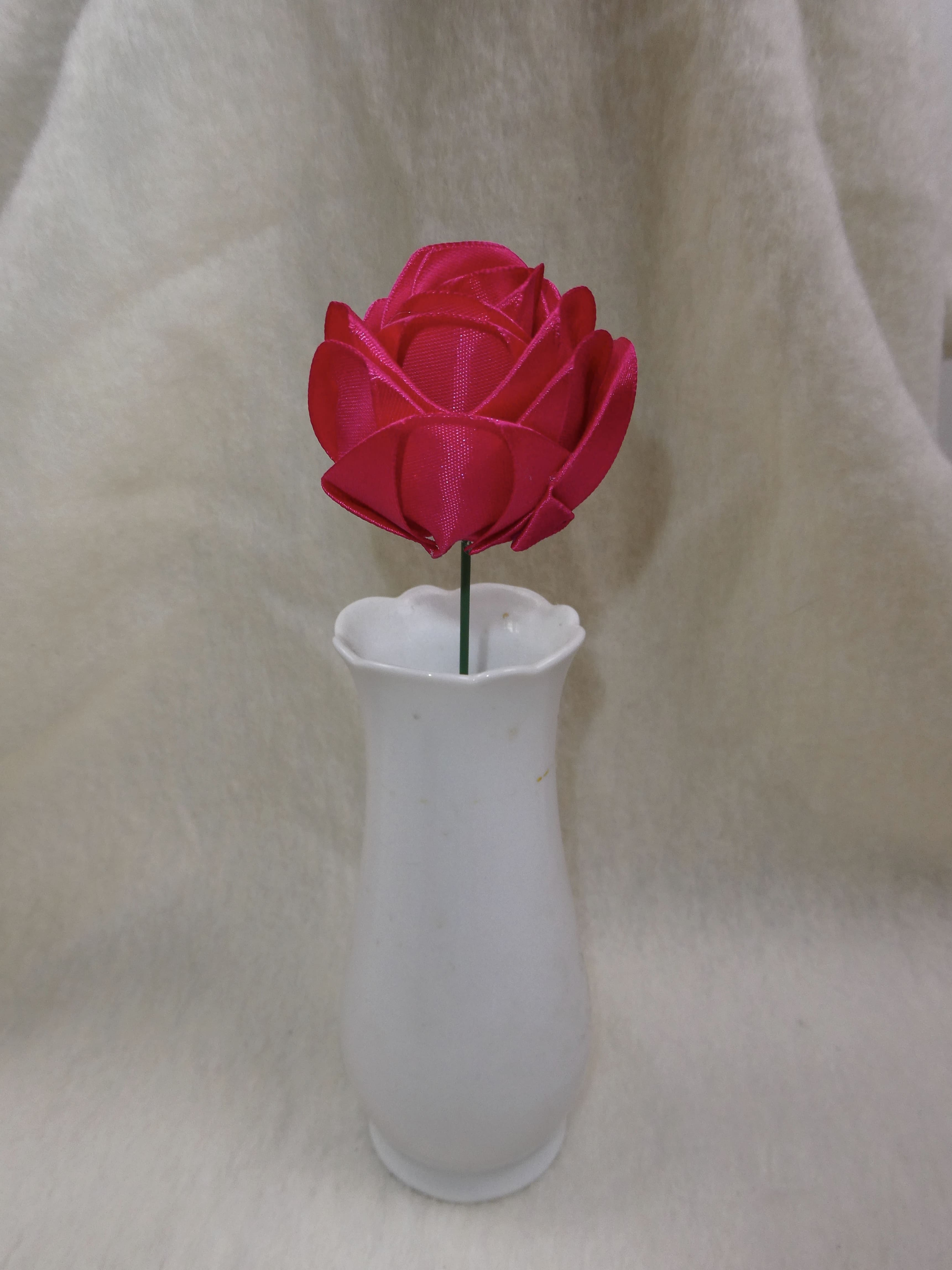Rose in Satin