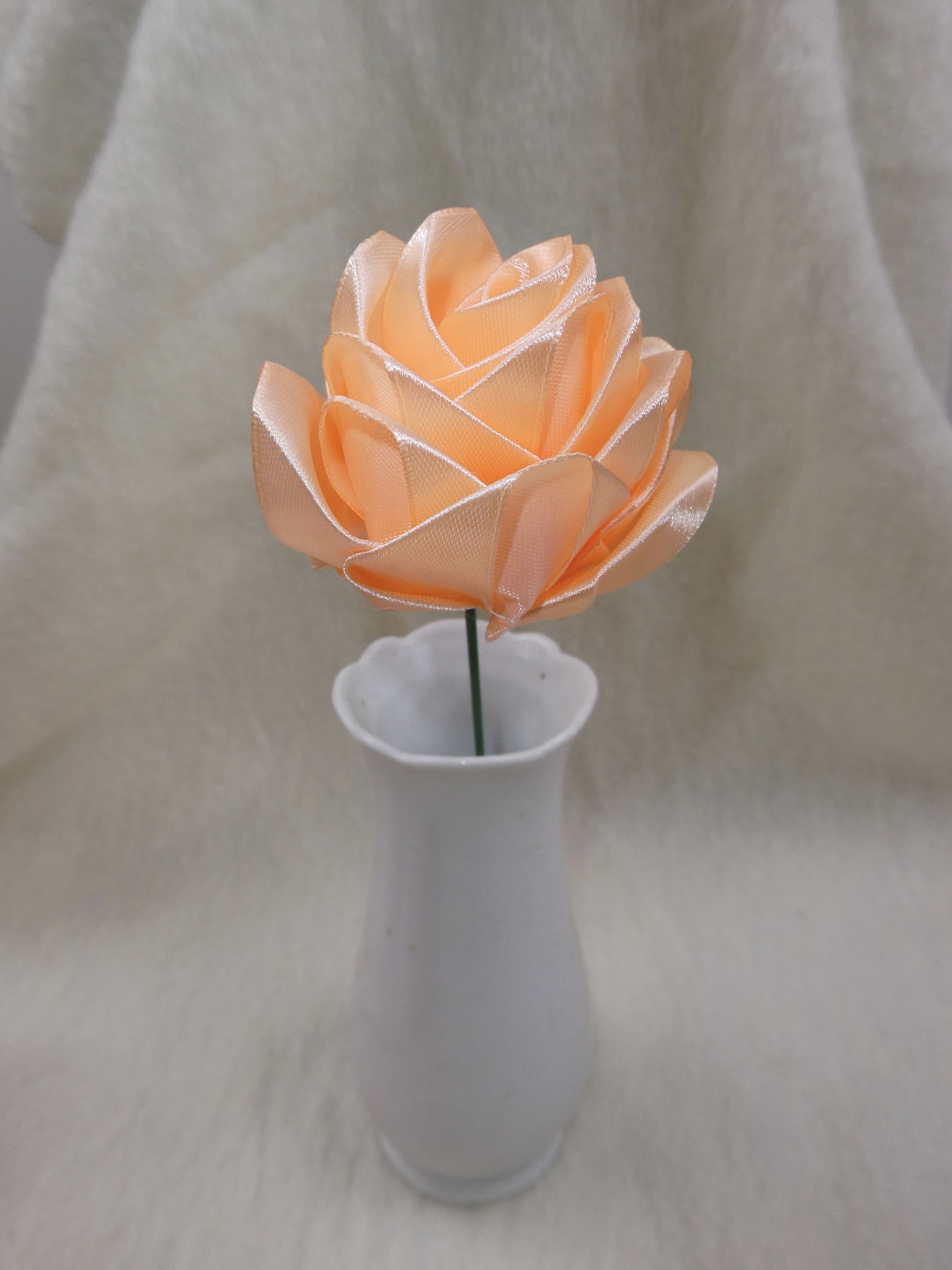 Rose in Satin